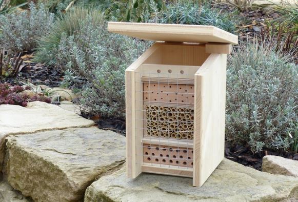 Caja para abejas